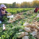 제2 주차장 화장실 이미지