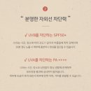 [ 그란디디에 ] 선크림추천 순한선크림추천 다즐링홍차 마일드 선크림 후기
