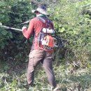 진해농장 이미지