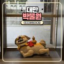 케이북9 | 대만 타이베이 여행 필수 코스 국립 고궁 박물원 펀트립 도슨트 후기