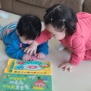 피자나라치킨공주양산사송점 | 24년 11월 일상