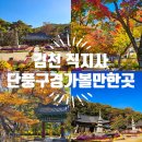 김천 직지사 단풍 구경 가볼만한곳