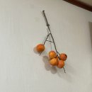 향토식당 이미지