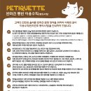 강아지 공화국 이미지