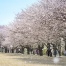 풍덕공원 이미지