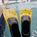 스위밍키즈 아카데미 | 일산 식사동 1:1 수영레슨 키즈라움 스위밍아카데미