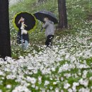 율곡수목원(2) 이미지