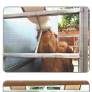 영일축산 이미지