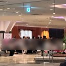 앤팀 콘서트는 핑계고 그냥 제가 나고야에 가고 싶었어요 (AWAKEN THE BLOODLINE in 나고야 후기)