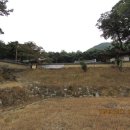 계림사 | 계림사(鷄林寺)