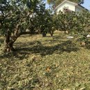 동부농업기술센터 분소 이미지