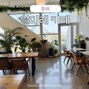 동해시-40 | 동해 한섬해변 카페 알마레 루프탑 반려동물 동반 가능
