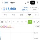 (주)엠유엠 | 엔알비 공모주 매도후기 / 대한조선 실권주 배정수량
