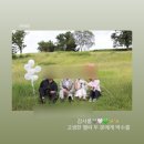 완도곰 | [W6] 완도바다스냅 &lt;바다곰스냅&gt; 광주 근교 야외웨딩스냅 추천