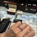 백금 | 서울 백금커플링 만족한 제작 후기