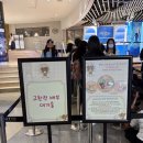 구마 | 리락쿠마 산엑스 스토어 잠실점 10주년 한정판 차이로이코구마 오픈런 후기
