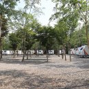 무릉도원면-50 이미지