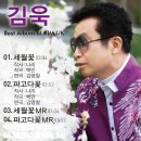 김욱 - 세월꽃 &amp; 파고다꽃 이미지