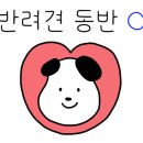 애봉이네