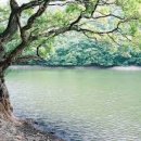 306기 수료소감 이미지