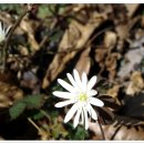 용연목장 이미지