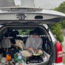 뉴질랜드 한국전 참 | 🇳🇿 뉴질랜드 워홀 [D+250] 첫 Wwoofing 후기!