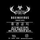 복싱바이러스 네이버블로그