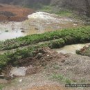 국일농장 이미지