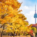 용산구 시민건강관리센터 이미지