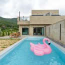 화정양화 이미지