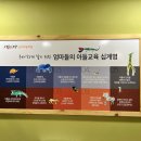 강남개포자라다남아미술학원