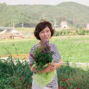닥터하스킨 - 동해시 청운2길 48-1 | 닥터하스킨