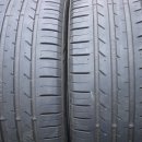 엘스포츠 이미지