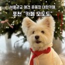 서울애견 | 서울근교 포천 애견운동장 카페 오도도 방문 솔직후기