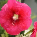H9017 이미지