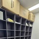 정관장태권도장 이미지