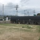 개들랜드 이미지