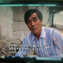 인연펜션 Daum카페