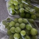 광훈농장 이미지