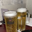 그냥개가좋아