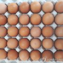 강원도동물위생시험소 이미지