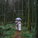 초원헤어샾 | [공지] [MIDENGE] 제주웨딩 스냅 촬영상품