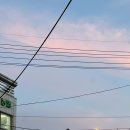수현 | 강서구점집 수현궁 신점 사주 후기 서울유명점집