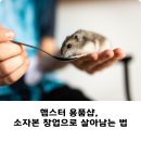 햄스터 용품샵, 소자본 창업으로 살아남는 법