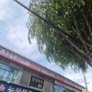 용두역 1번출구 네이버블로그