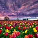 백화제방 이미지