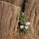 구산-025 이미지