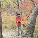 628차- 11/9.日.10시.안국역#2-재동초교-삼청공원-숙정문-곡장-4번출입문-백사실-현통사. 이미지