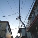 창우목장 | 해파랑길14-1, 구룡포항~주상절리~삼정섬 관풍대~한반도동쪽땅끝(18.11.19.월)