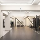 피티바이패스 이미지